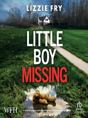 cover image of Little Boy Missing